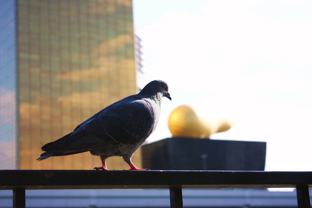 金の粒、食べよ♪