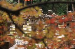 秋の東光寺