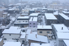 まだ、雪はあるのでしょうか・・