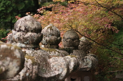 東光寺にて