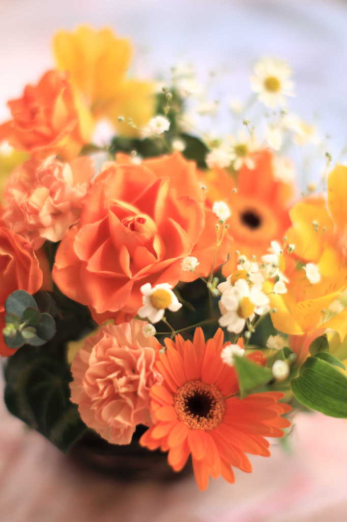 テーブルフォト