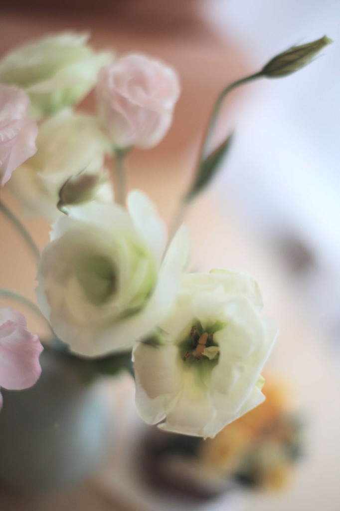 テーブルフォト