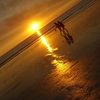 cable beach sunset