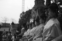 File0446
