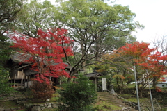 小さな神社の紅葉