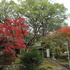 小さな神社の紅葉