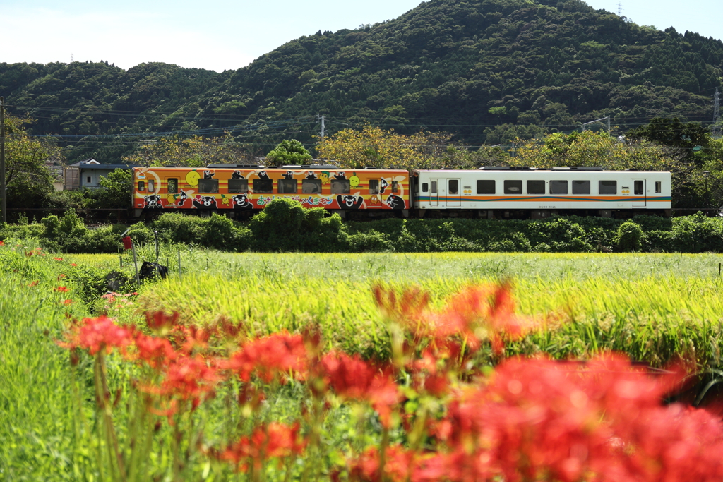 おれんじ鉄道・秋