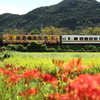 おれんじ鉄道・秋