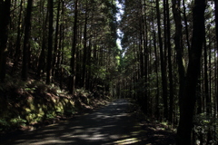 山道