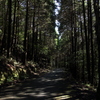 山道