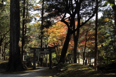 神社の紅葉