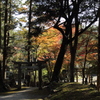 神社の紅葉