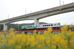 おれんじ鉄道・秋