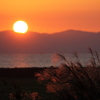 すすきと夕日