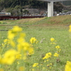 おれんじ鉄道と春