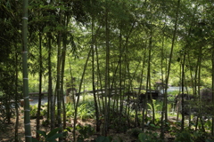 竹林園