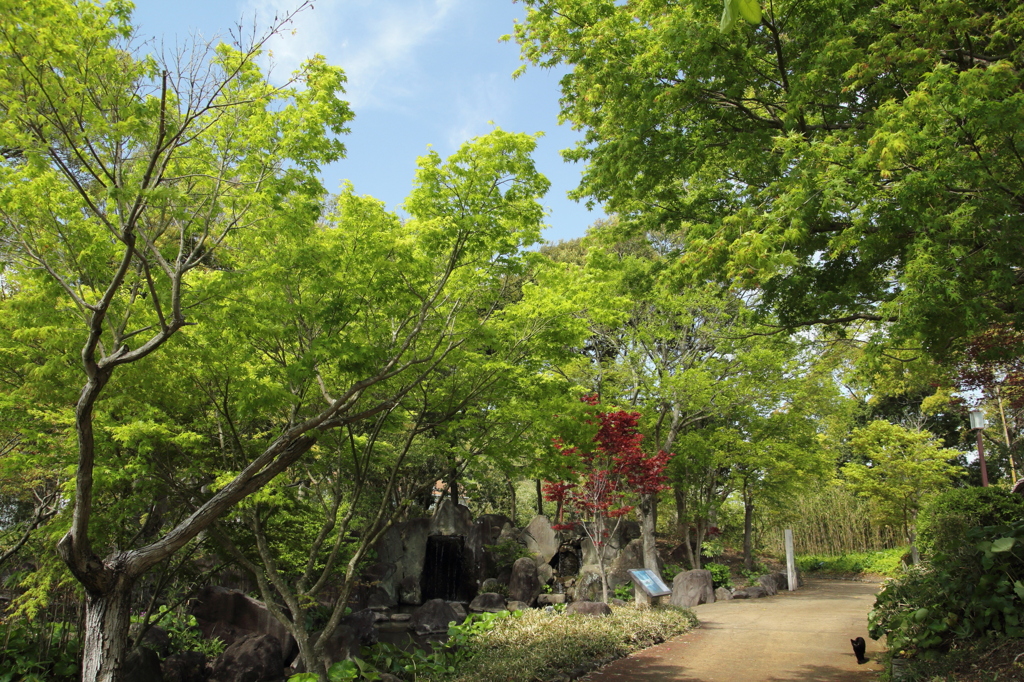 新緑の季節・・竹林園