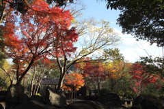 まだ紅葉がのこる