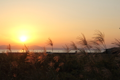 夕日とススキ