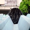 ジャストフィット