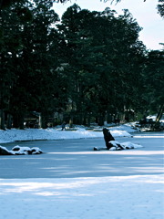 雪の大泉が池