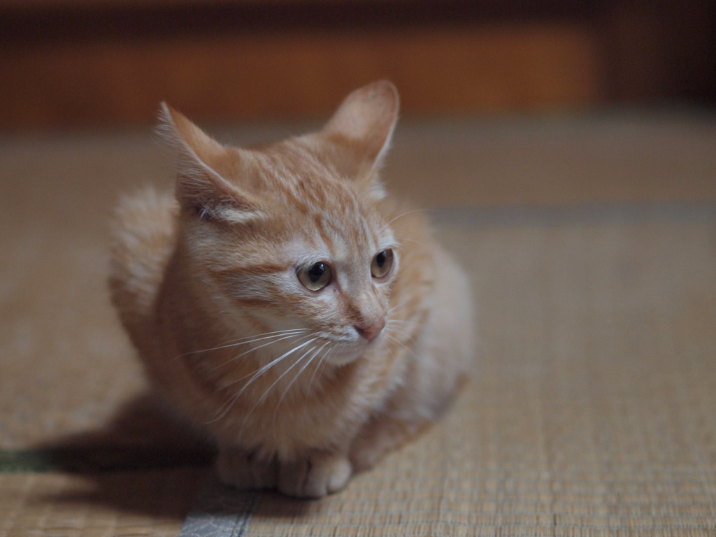 たまには…