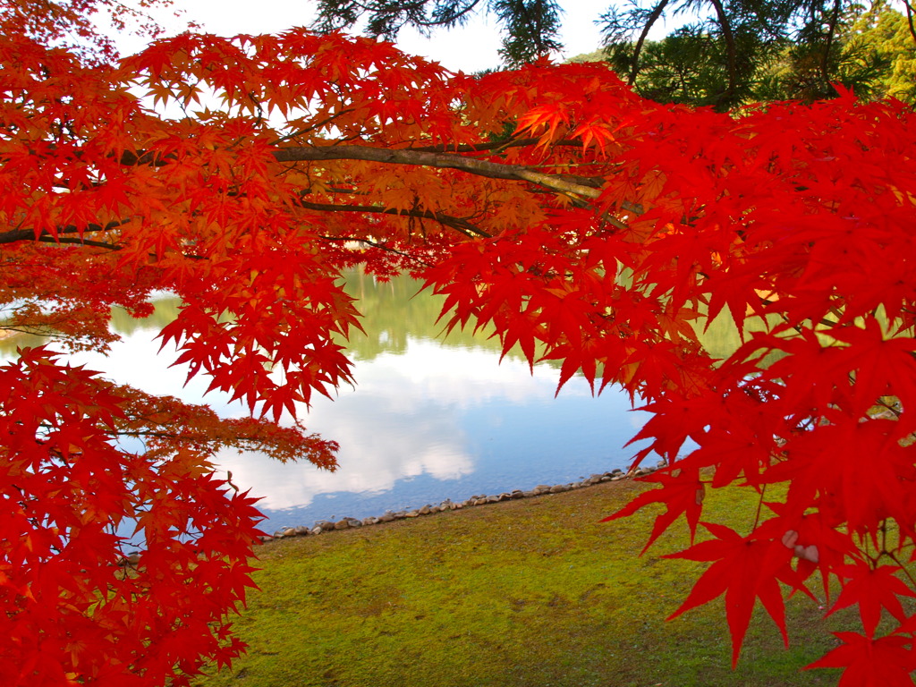 紅葉と池