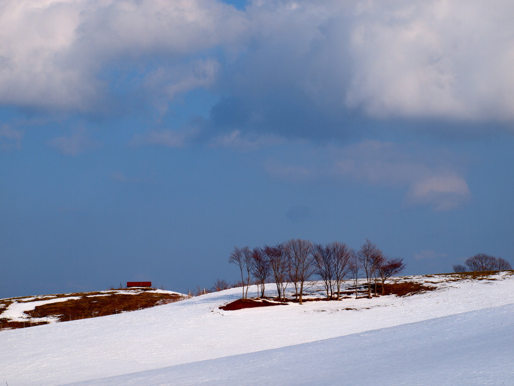 雪解けの牧場