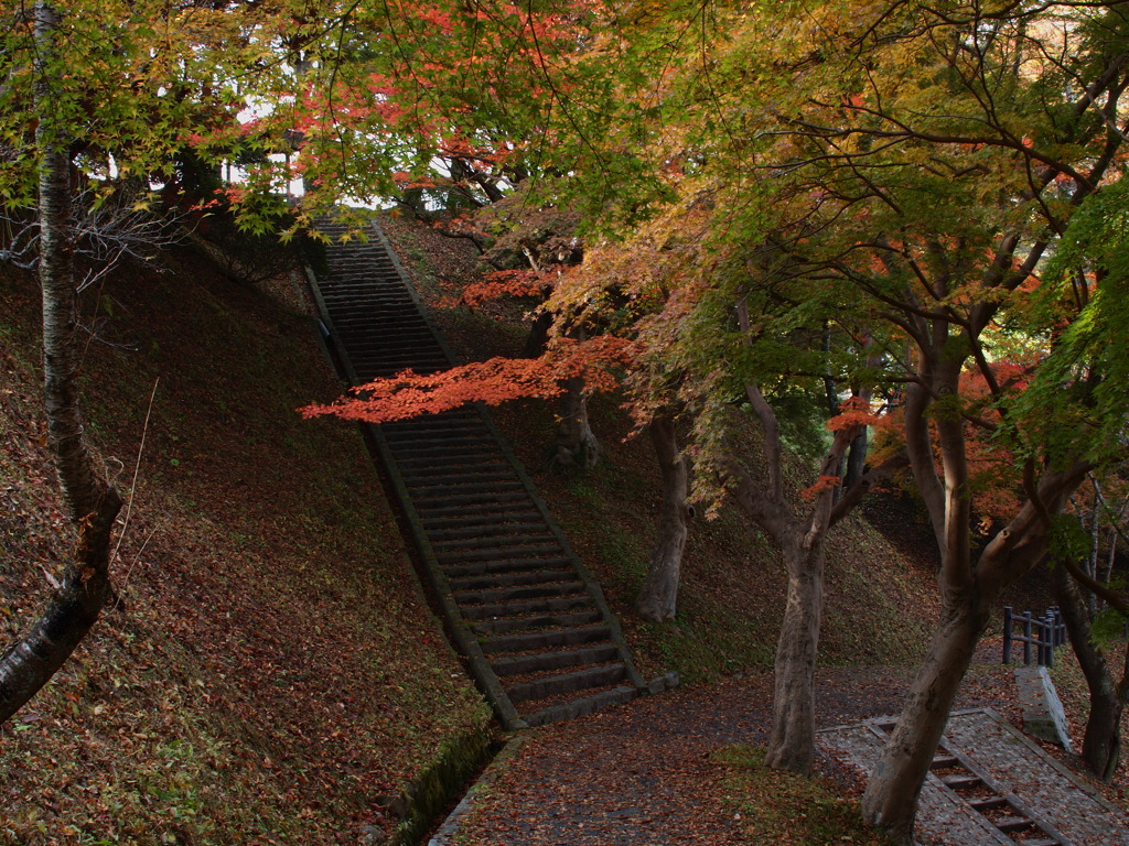 釣山公園