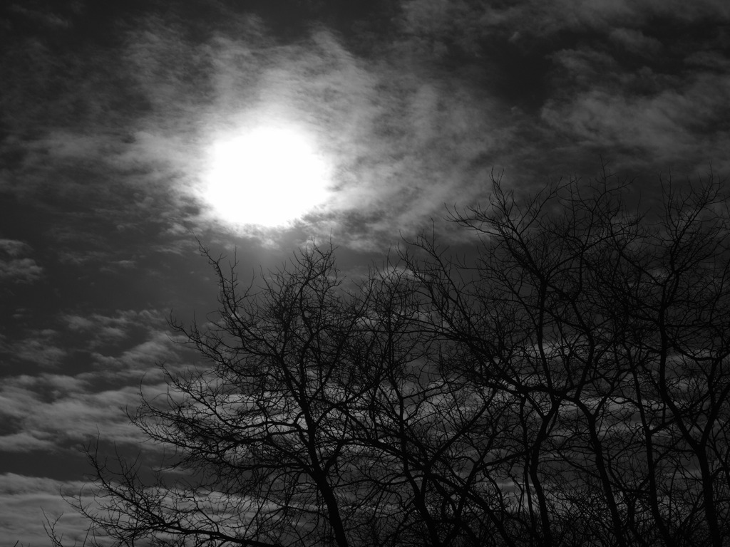 Capillary