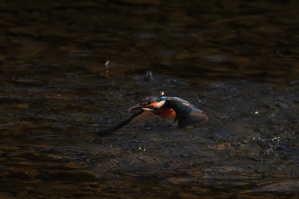 Catch！
