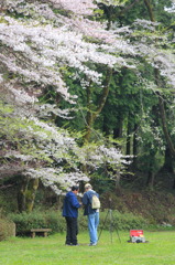 花咲くとき