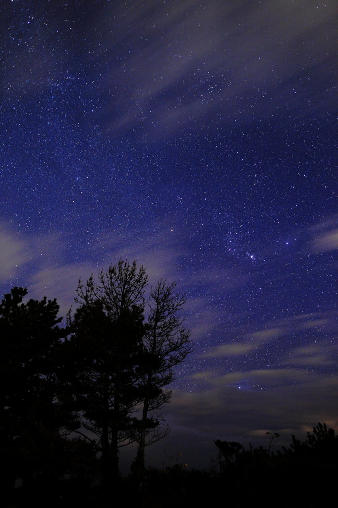 冬の夜空