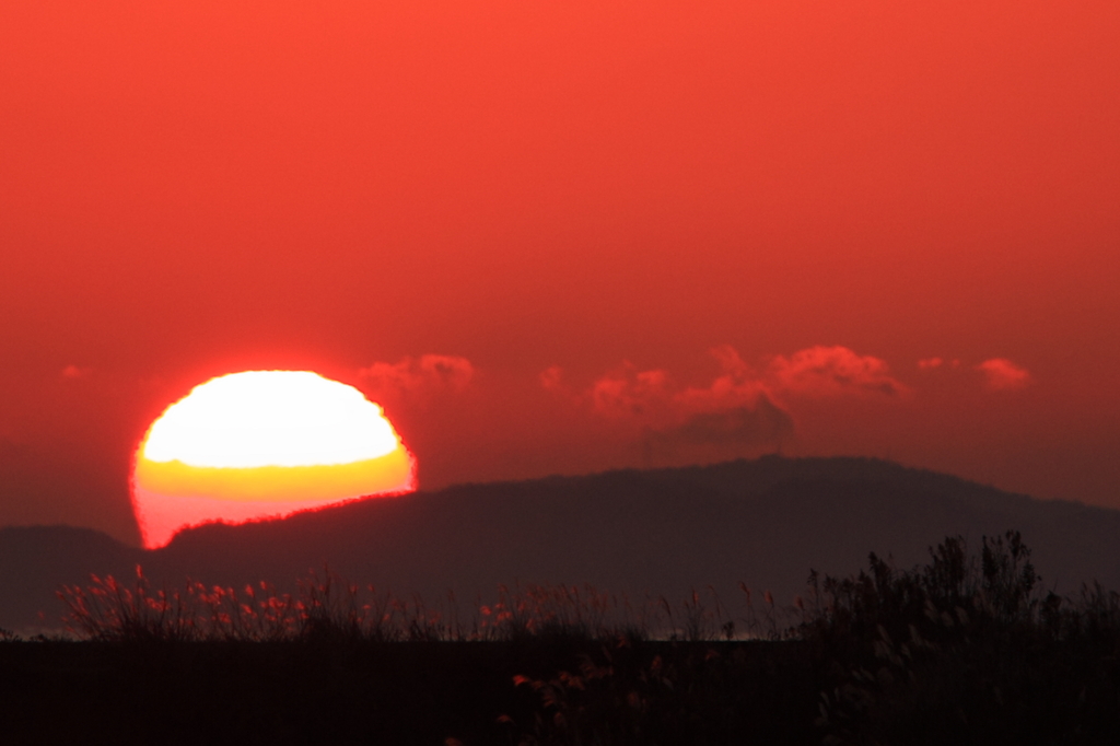 Melted Sun
