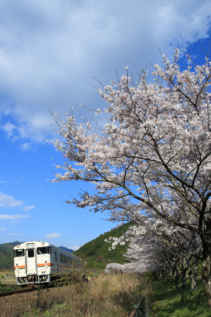 初めての鉄撮り