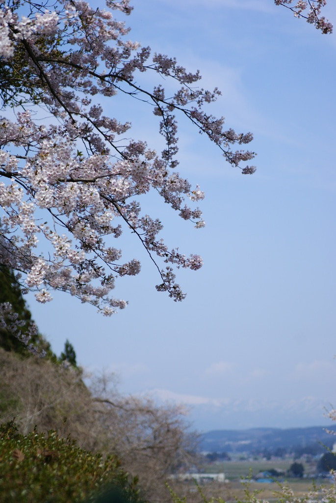 高館にて