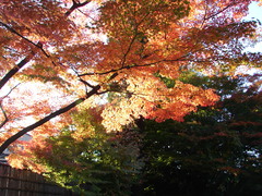会津の紅葉03