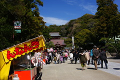 【鎌倉】「鶴岡」八幡宮の参道