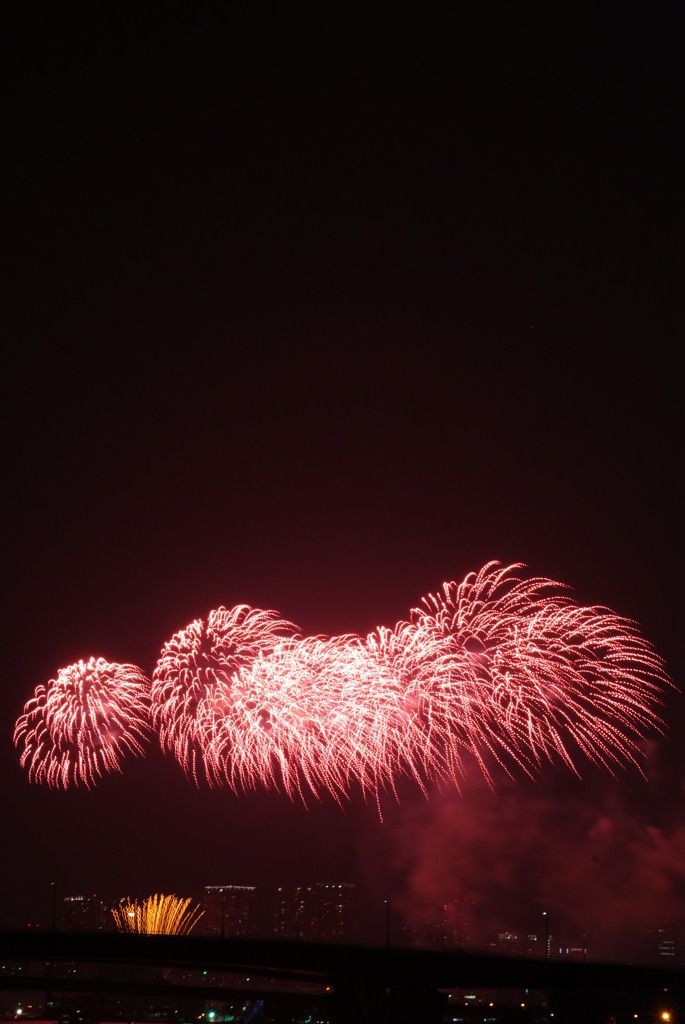 東京湾大華火祭2010