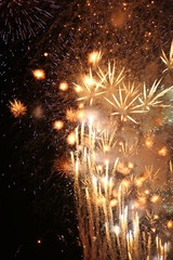 江戸川花火大会2009