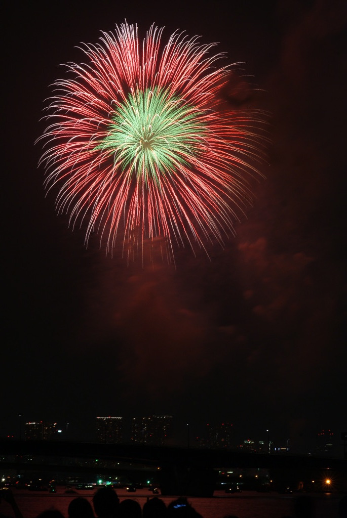 東京湾大華火祭2010