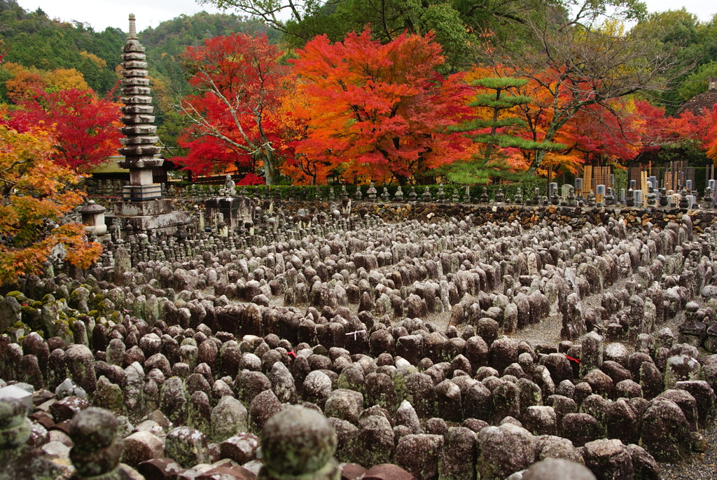 【京都】化野念仏寺にて