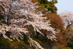 盛岡城址にて