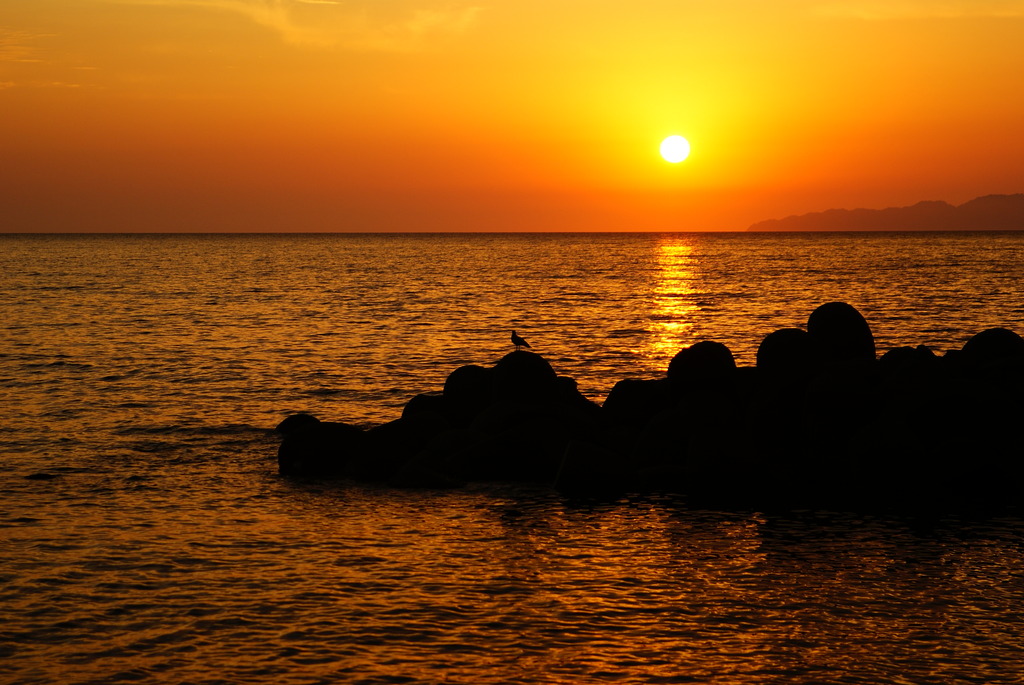 笹川流れの夕日