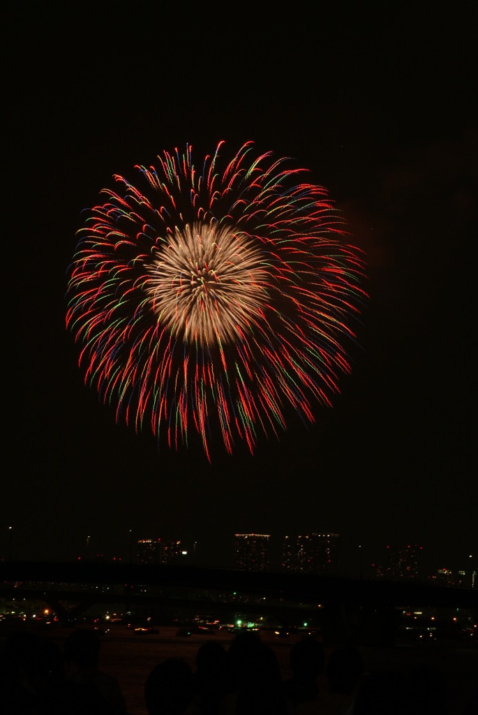 東京湾大華火祭2010