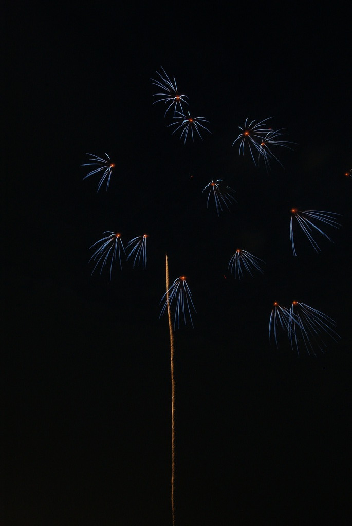 江戸川花火大会2009