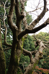 DSC05463