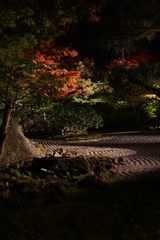 えん徳院の夜景