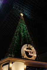 【京都】駅のクリスマスツリー