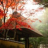 【伊賀上野】朝もやの公園にて